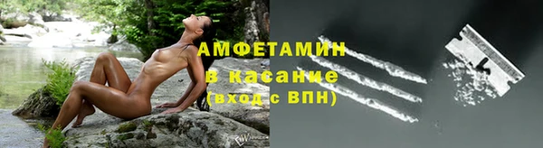 амф Алексин