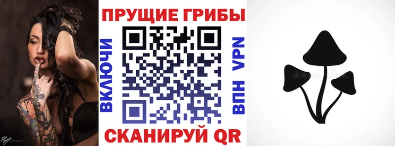 Галлюциногенные грибы ЛСД  Купить где  Искитим 